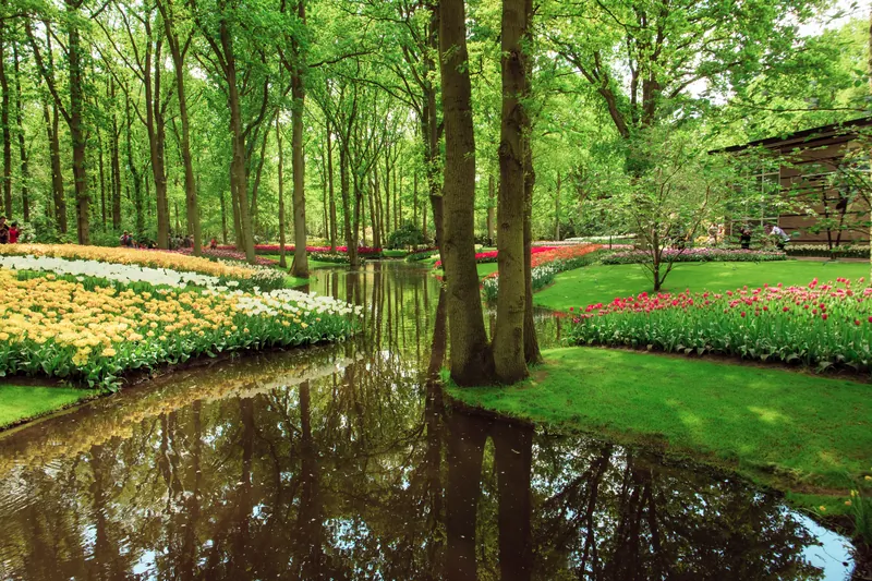 landscape stream tulips shade trees